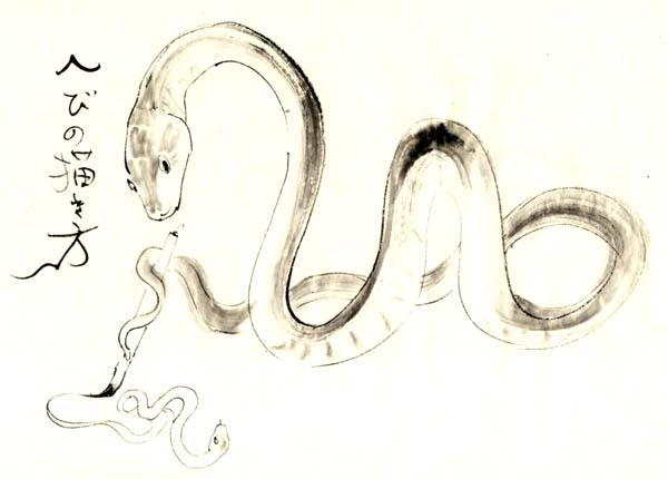 いろいろ 蛇 描き方 蛇 鱗 描き方 アナログ