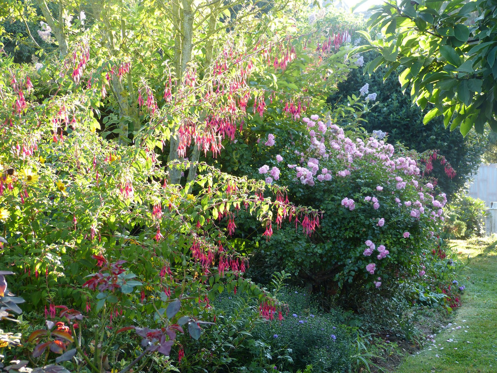 Vous ne savez pas quoi faire au jardin potager en permaculture au cours des différents mois de l'année ? Septembre Au Jardin