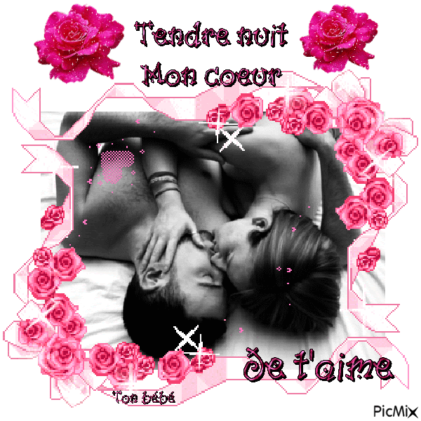 Bonne Nuit Mon Amour Je Taime Gif Best Citations D Amour