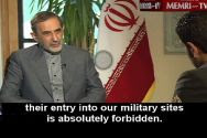 Ali Akbar Velayati, Security Adviser to Iran's Supreme Leader, states in interview 