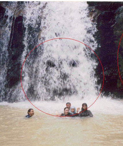  Gambar Hantu Laut  Gambar  V