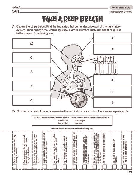 teach child how to read grade 5 science worksheets human