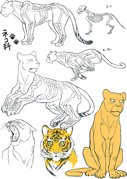 かっこいい 書き方 かっこいい 狼 イラスト 描き 方 簡単