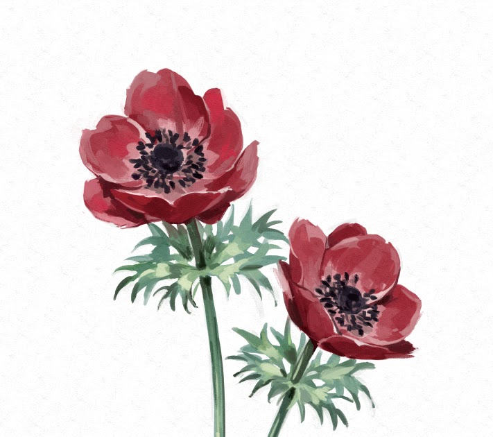 花 イラスト リアル 描き方 Ngagolak