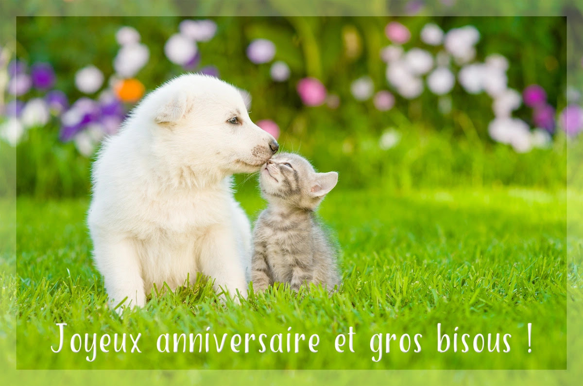Jolie Carte Gratuite Anniversaire Humoristique Jackelyn Cherlyn