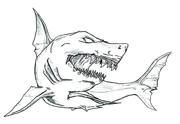 ccbcevents hammer shark coloring pages