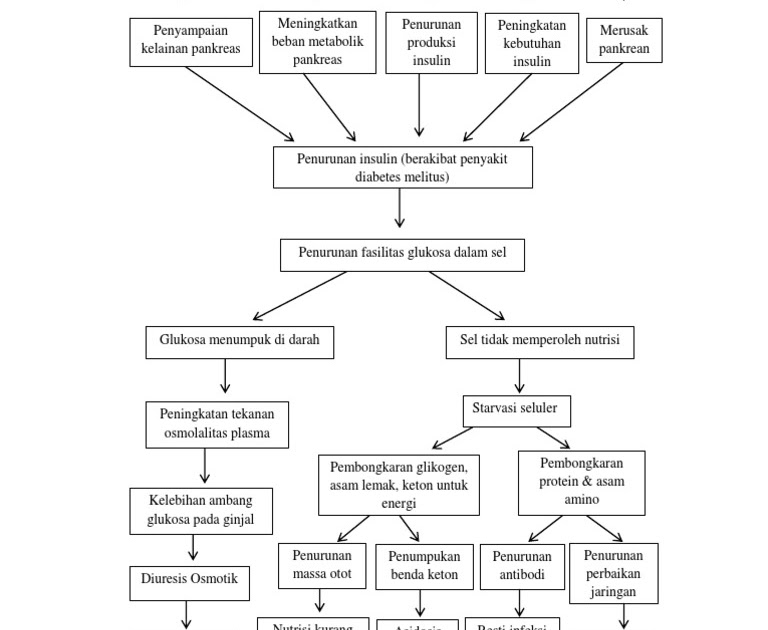 Patofisiologi Diabetes Melitus Tipe 1