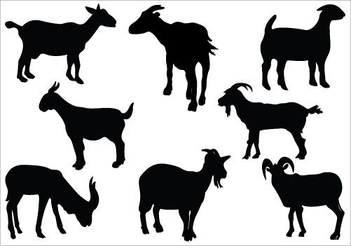 Free Free 345 Baby Goat Svg SVG PNG EPS DXF File