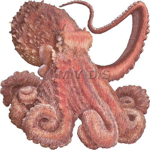 元のタコ 絵 花の画像