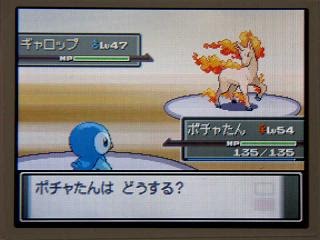ポケモン プラチナ ギャロップ 技