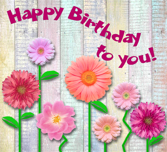 Check spelling or type a new query. Flowers Dance Troupe On Your Birthday Free Flowers Ecards 123 Greetings