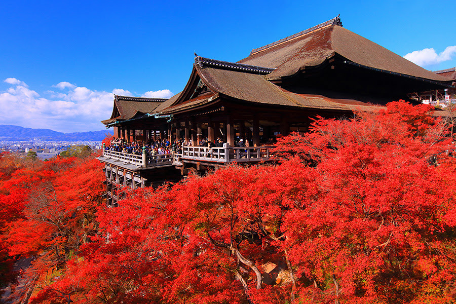 京都画像高画質