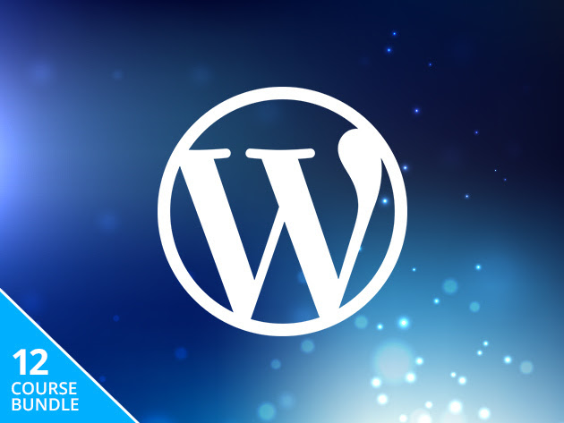 WordPress Wizard Bundle