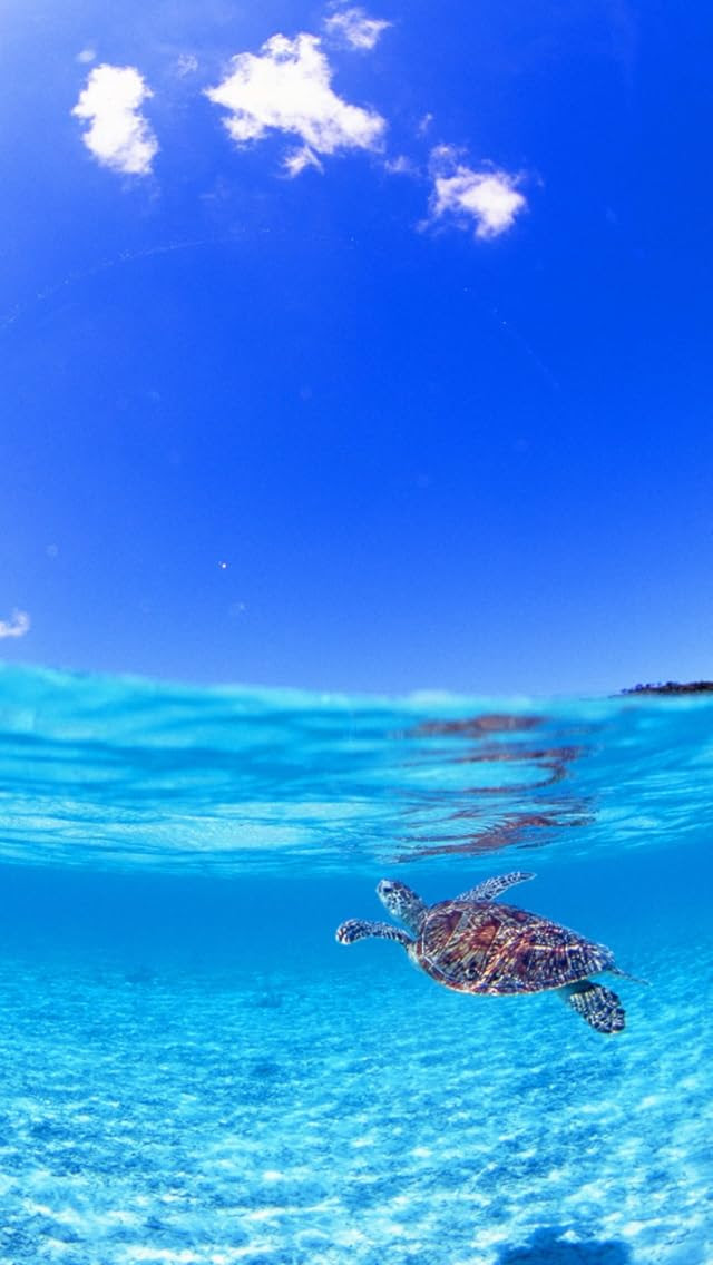 無料でダウンロード おしゃれ 海 画像 高 画質 おしゃれ 海 画像 高 画質