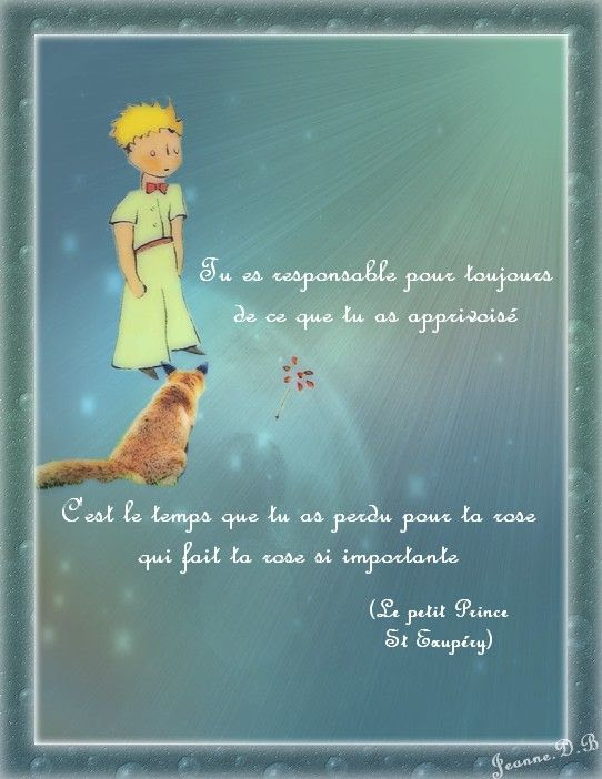 Citation Le Petit Prince Rose