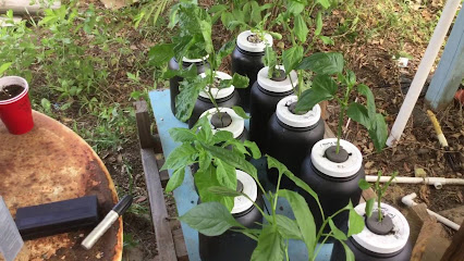 Aquaponics - Community - Google+