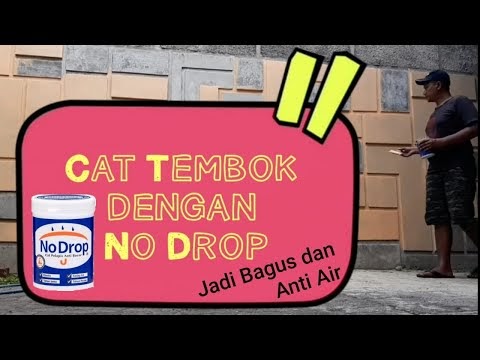 Trend Cat  Tembok Menggunakan No  Drop  Video Warna  