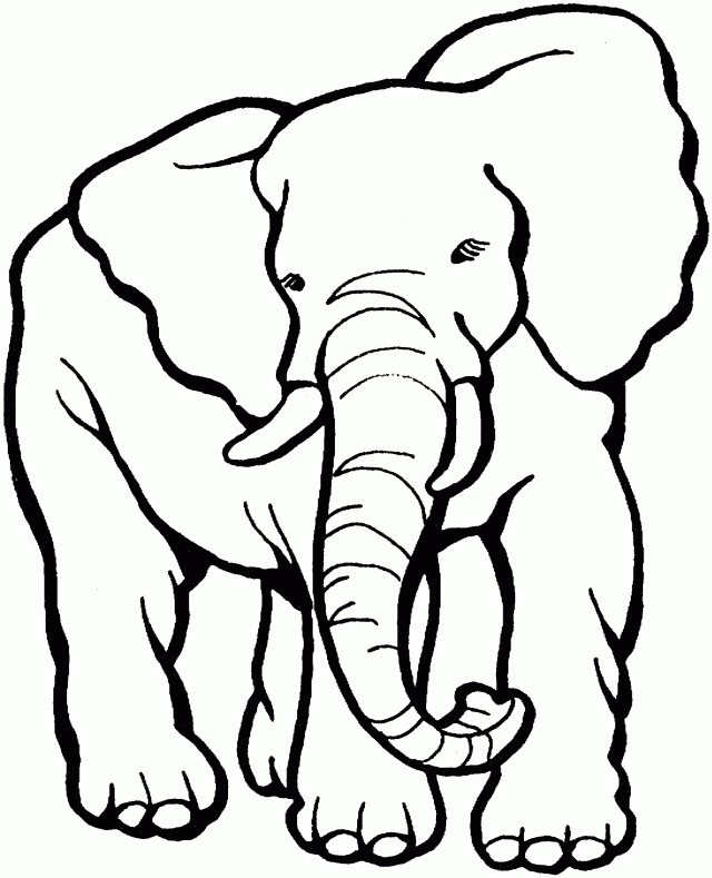 Free pictures of elephants for kids download free clip art free. Free Elephants Pictures For Kids Download Free Clip Art Free Clip Art On Clipart Library