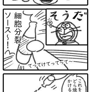 細胞分裂の過程をわかりやく解説 初心者向け 中学理科