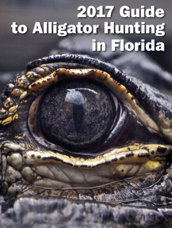 Alligator Hunt Guide