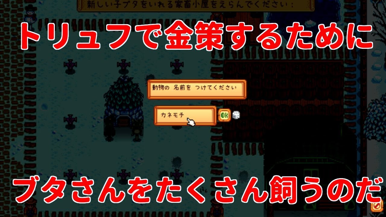 ペールエール スターデューバレー