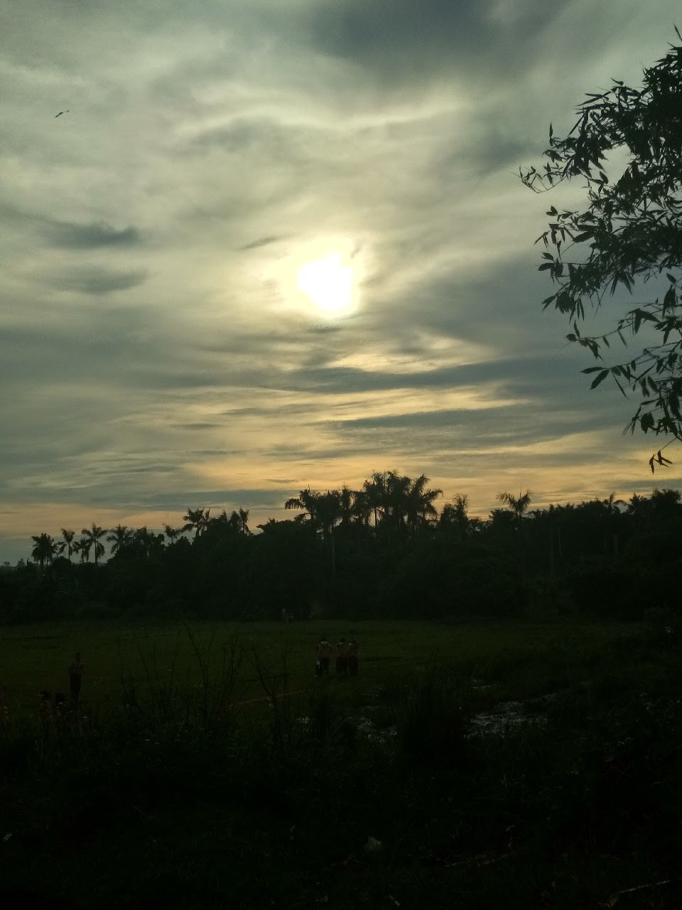 Langit Senja Nan Indah Fotografi Mi Community Xiaomi