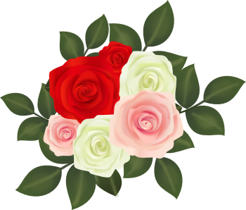 50 素晴らしい薔薇 イラスト フリー Png 美しい花の画像