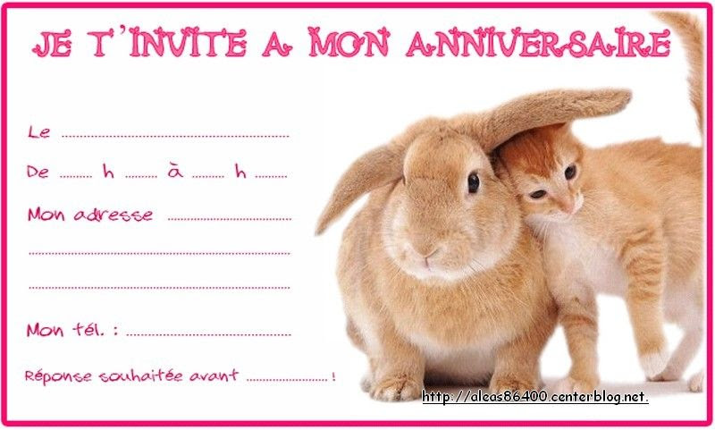 Invitation Anniversaire Animaux