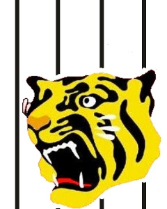 √完了しました！ 待ち受け 阪神 タイガース 壁紙 無料 149803