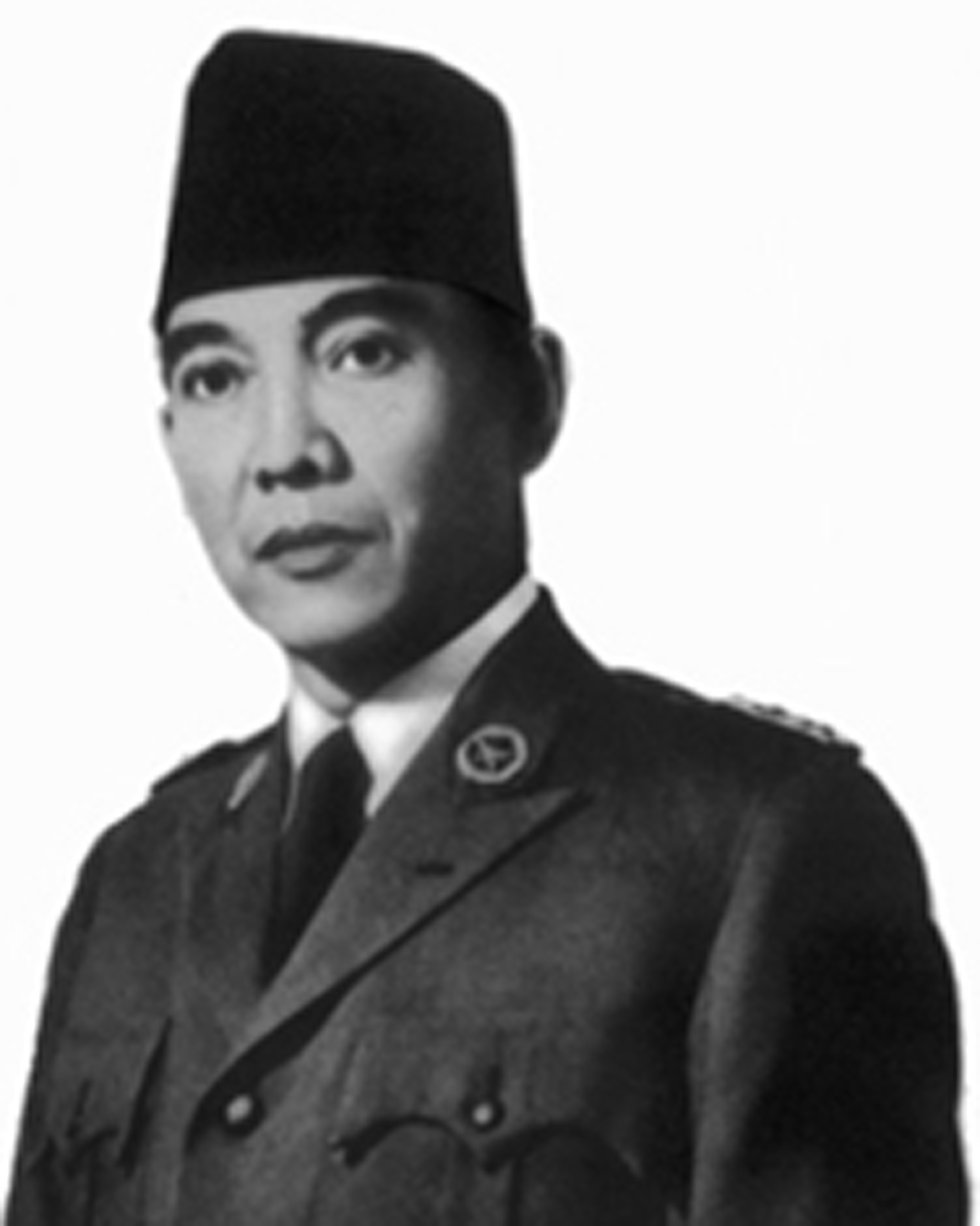 Contoh Biografi Ir Soekarno - Contoh Bu