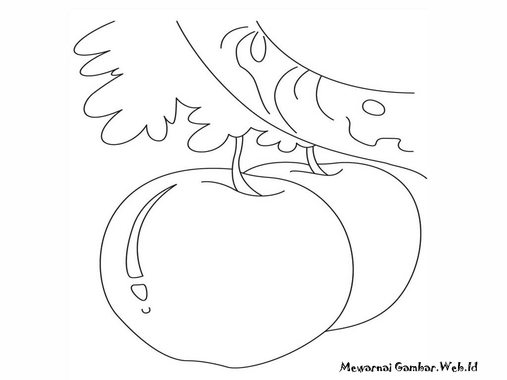 Gambar Semangka Mewarnai