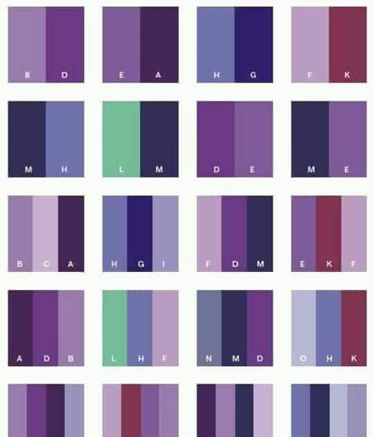 83 Perpaduan  Warna  Purple 