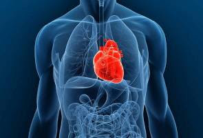 Resepi Ubat Sakit Jantung - Red Pastel c