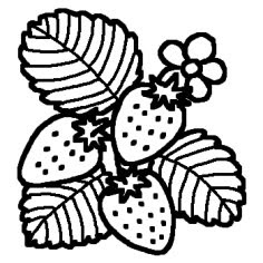美しい花の画像 50 素晴らしいいちご イラスト 白黒