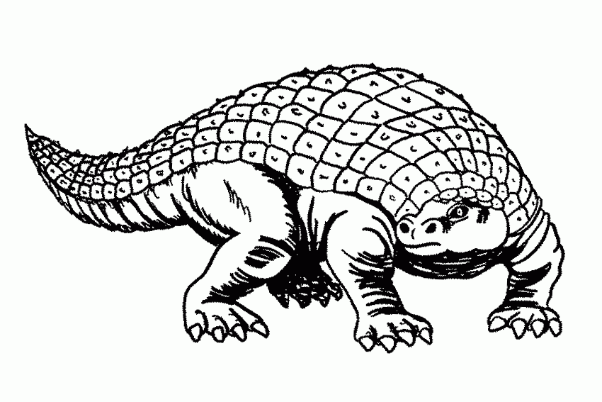 Dino dan coloring pages d for dinosaur coloring page with handwriting practice download coloringkidsboys click the download button to find out the full image of dino dan coloring page free, and download it for a computer. Free Dino Dan Pictures Download Free Dino Dan Pictures Png Images Free Cliparts On Clipart Library