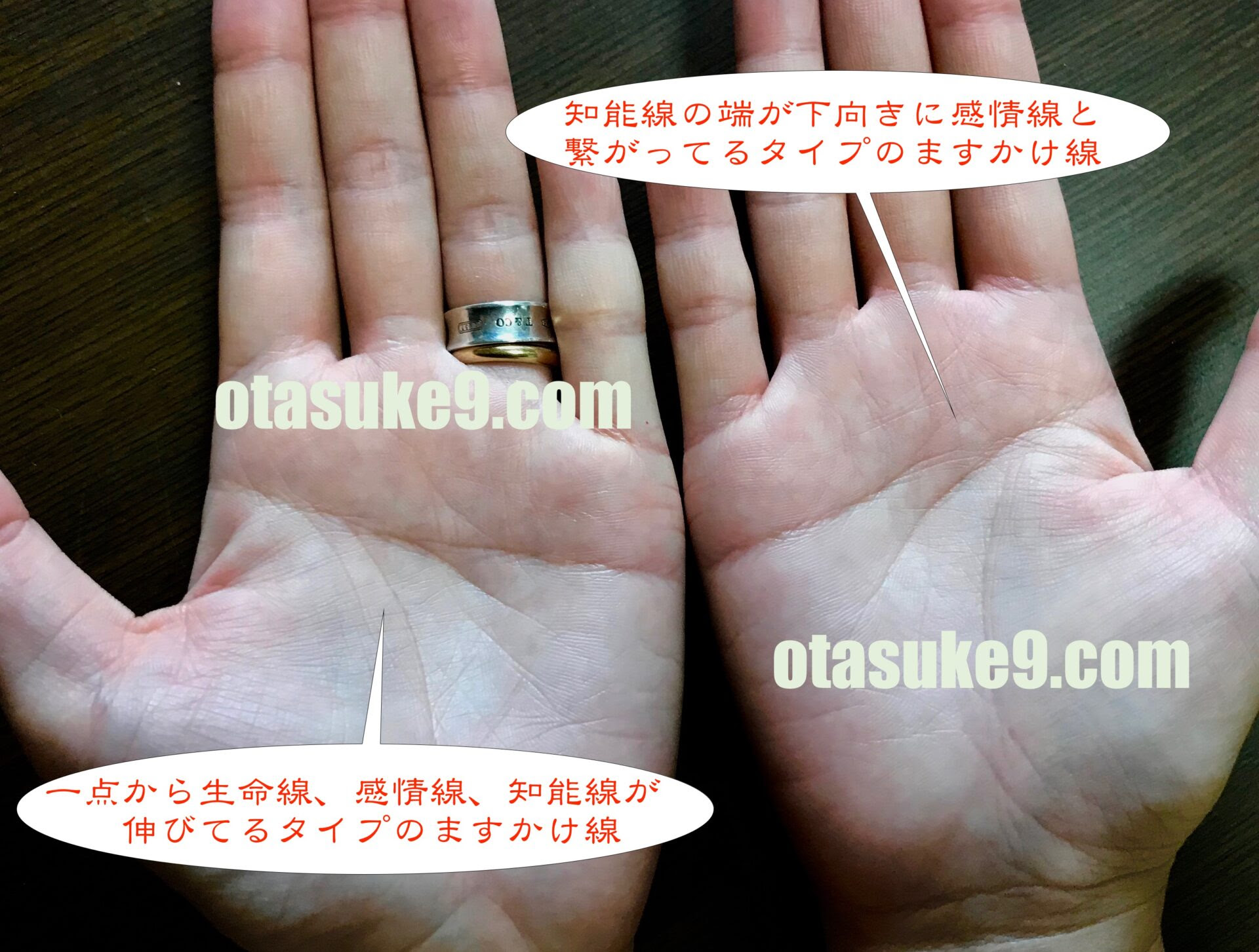 ファッショントレンド 最新手相 ますかけ 両手 女性