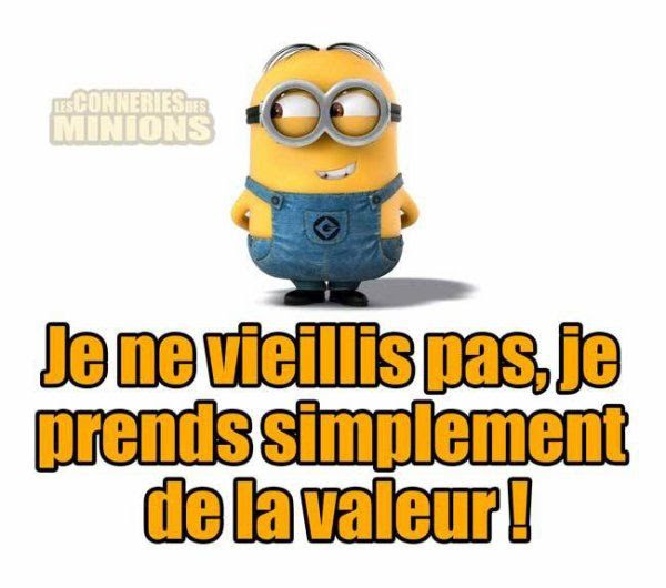Minions Joyeux Anniversaire Lyrics Dann Yuki