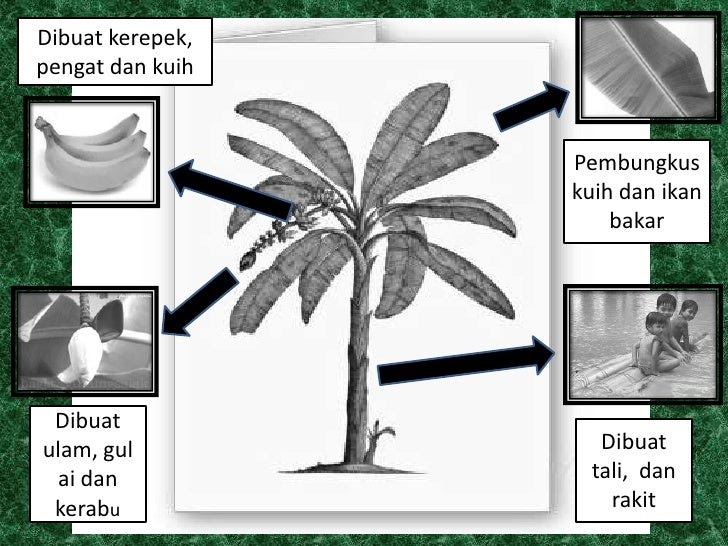 Contoh Soalan Kbat Upsr Bahasa Melayu - Little Ponny l