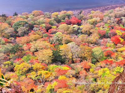 画像をダウンロード zekkei japan 壁紙 605025-Zekkei japan 壁紙