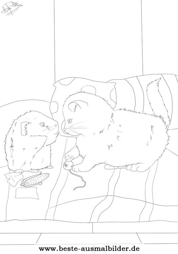 Sie kommunizieren durch verschiedene klã¤nge, die unterschiedliche bedeutungen haben, und. Katze Und Meerschweinchen Ausmalbild Kostenlose Haustier Malvorlagen