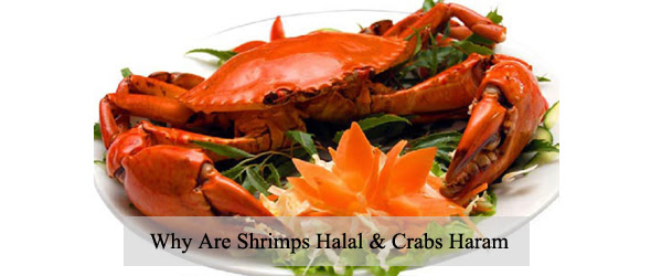 The prophet declared dogs' mouths unclean, because they sometimes eat carrion. Why Are Shrimps Halal Crabs Haram Ijtihad Network