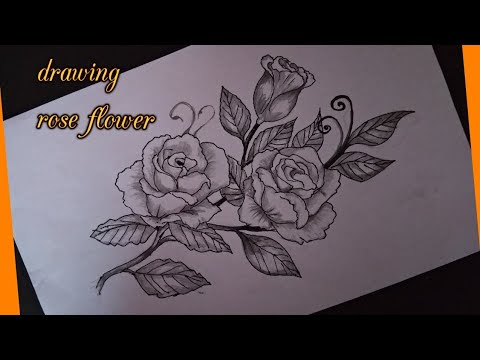 Contoh Sketsa Bunga Ilmusosial Id