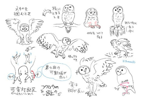 エレガントうさぎ イラスト リアル 書き方 無料イラスト集
