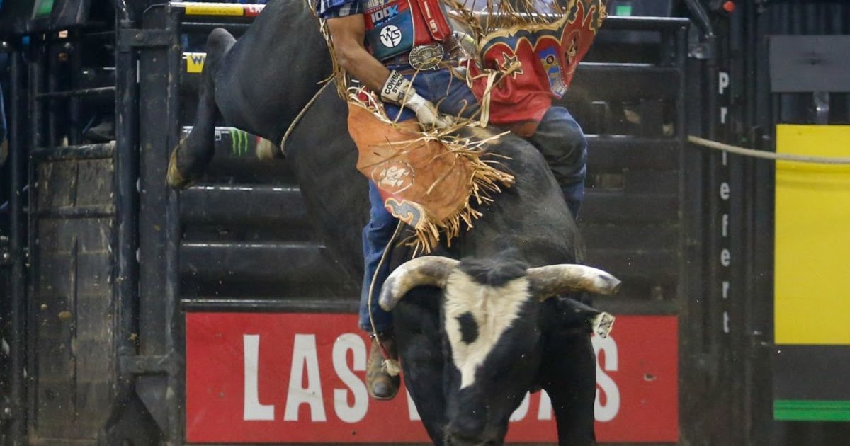 How Much Do Pro Bull Riders Make - HOWMUCHSI