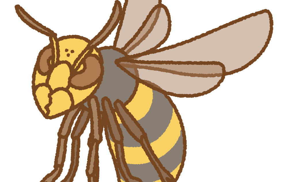 Illustrationimagesjvgzg