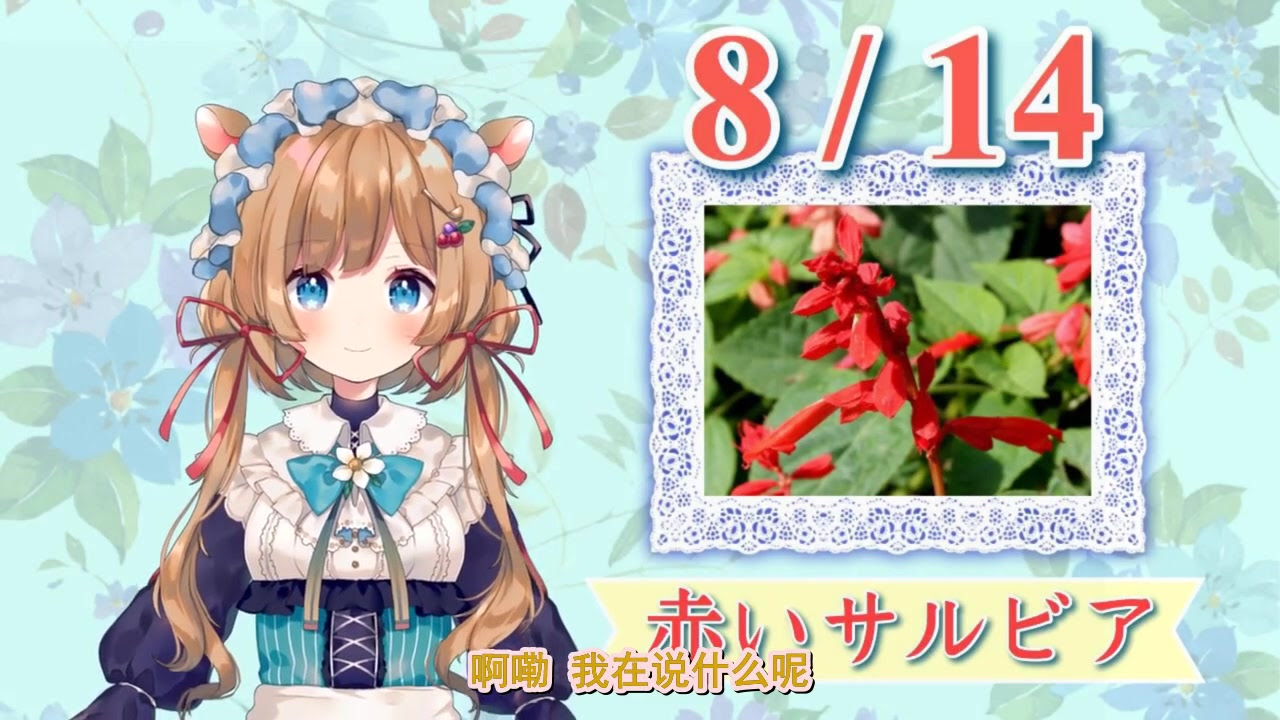 最も共有された コニファー 花 言葉
