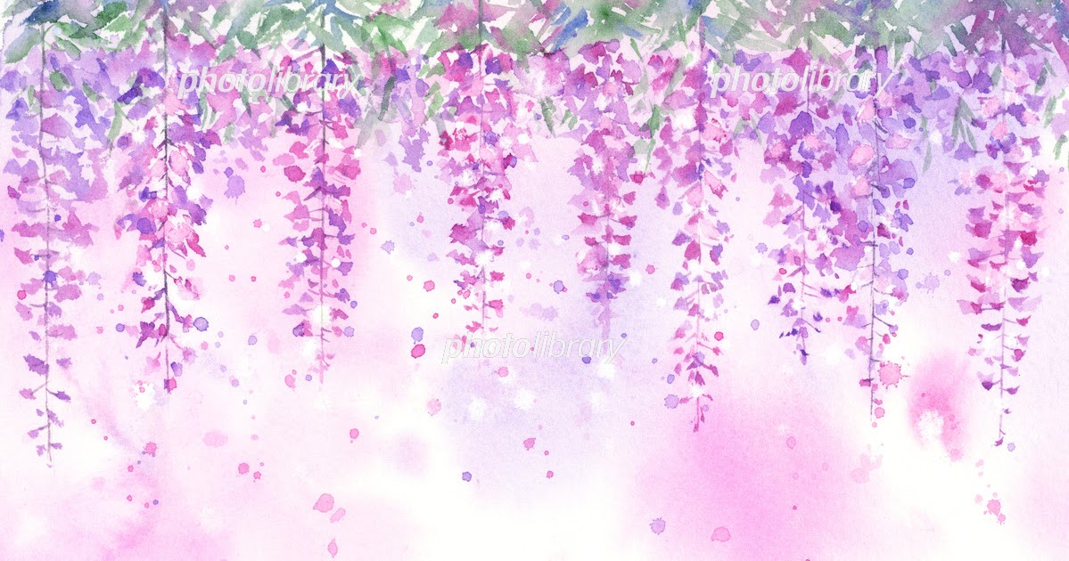 藤の花 壁紙 フリー 藤の花 壁紙 フリー