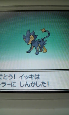 ここからダウンロード ポケモン プラチナ レントラー 100 で最高の画像