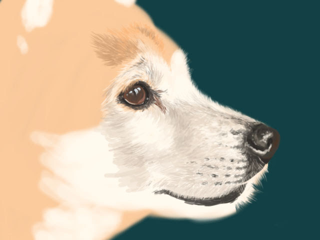 犬 横顔 イラスト 興味深い画像の多様性