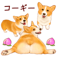 最も選択された コーギー イラスト ゆるい 6444 Okepictecpl